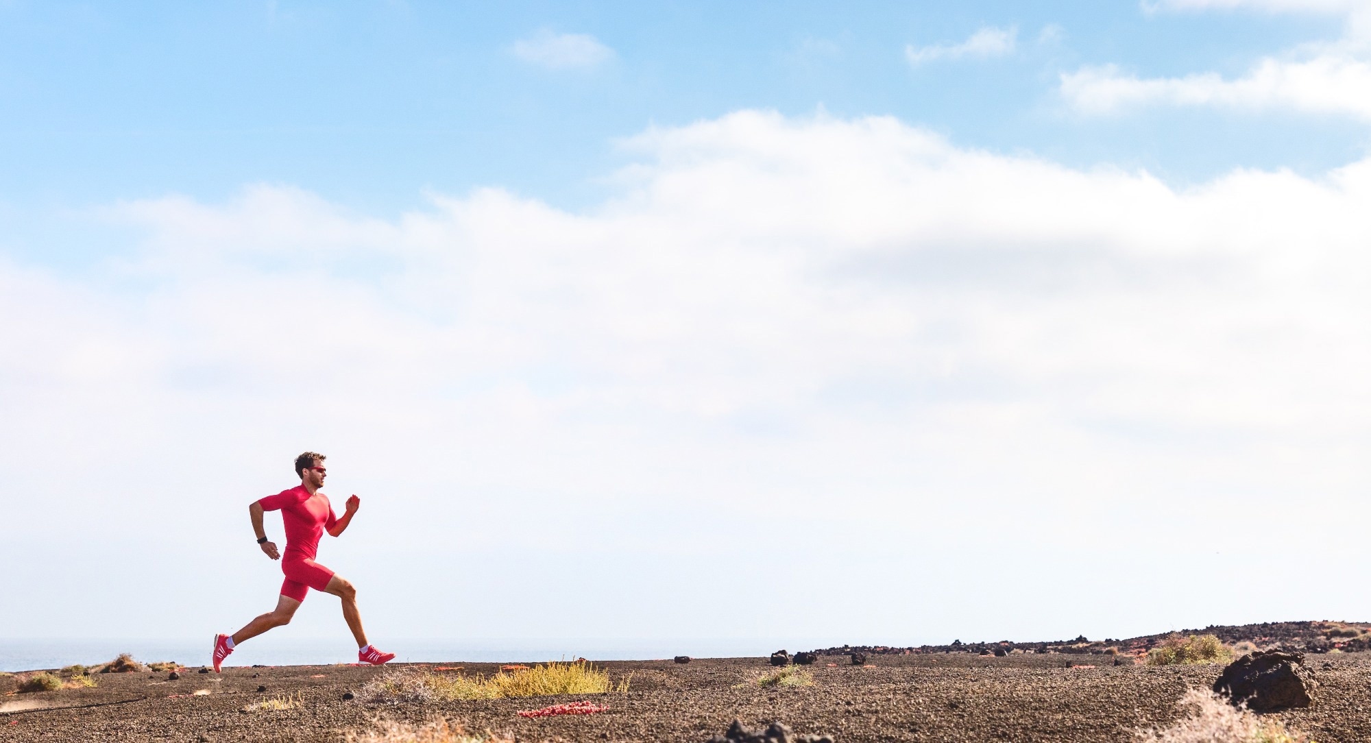 Review: The Role of the Gut Microbiome and Probiotics in Sports Performance: A Narrative Review Update. Image Credit: Maridav / Shutterstock