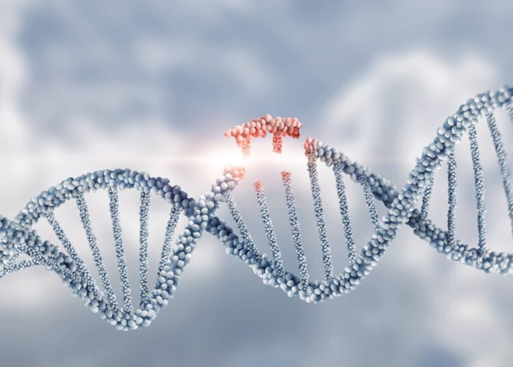 Considerations for taking ASO discovery programs into animal models