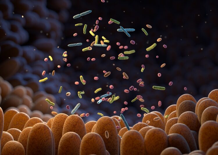 Study: Association between gut microbiome profiles and host metabolic health across the life course: a population-based study. Image Credit: Tatiana Shepeleva / Shutterstock