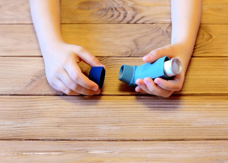 Study: The relationship between energy intake and asthma in Americans aged 1–18 years: a cross-sectional study. Image Credit: OnlyZoia / Shutterstock