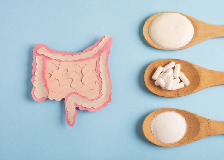 Study: Diet, microbiome, and probiotics establish a crucial link in vaccine efficacy. Image Credit: Helena Nechaeva / Shutterstock