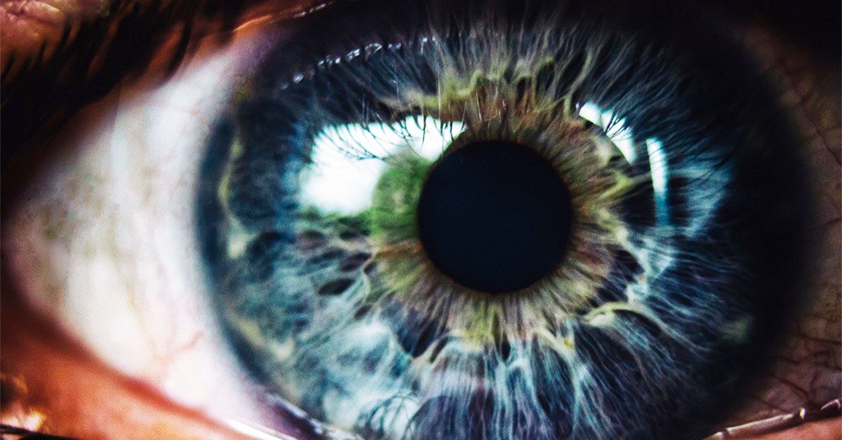 La thérapie par cellules souches pourrait guérir les cornées blessées, restaurer la vision