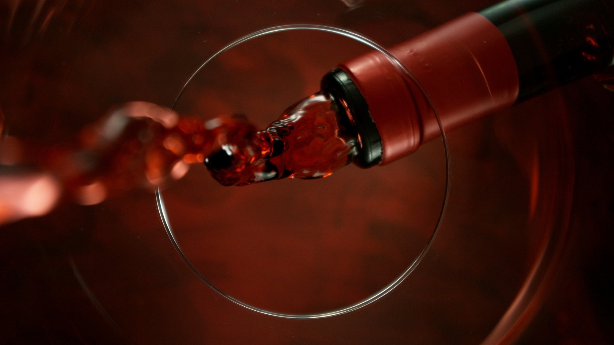 Review: The effects of wine consumption and lipid profile: A systematic review and meta-analysis of clinical trials. Image Credit: Lukas Gojda / Shutterstock