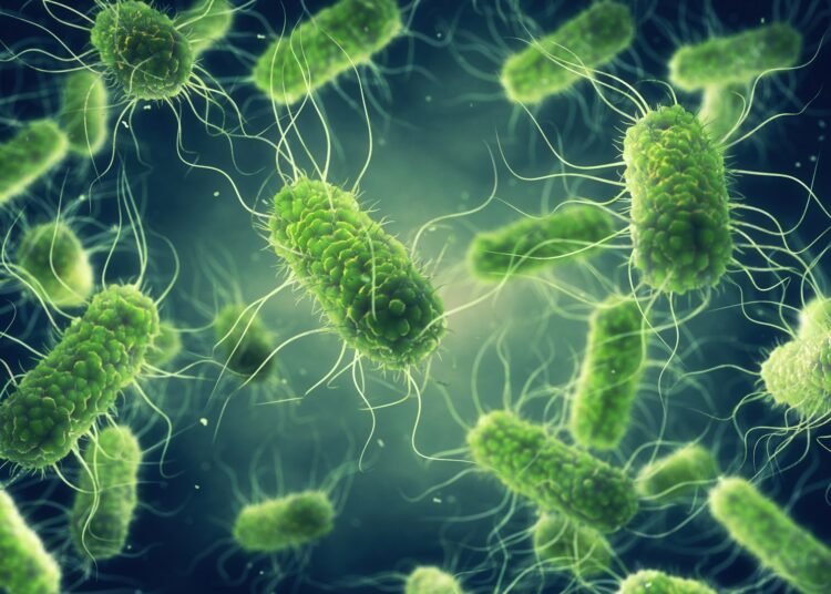 Study: Attribution of Salmonella enterica to Food Sources by Using Whole-Genome Sequencing Data. Image Credit: nobeastsofierce / Shutterstock