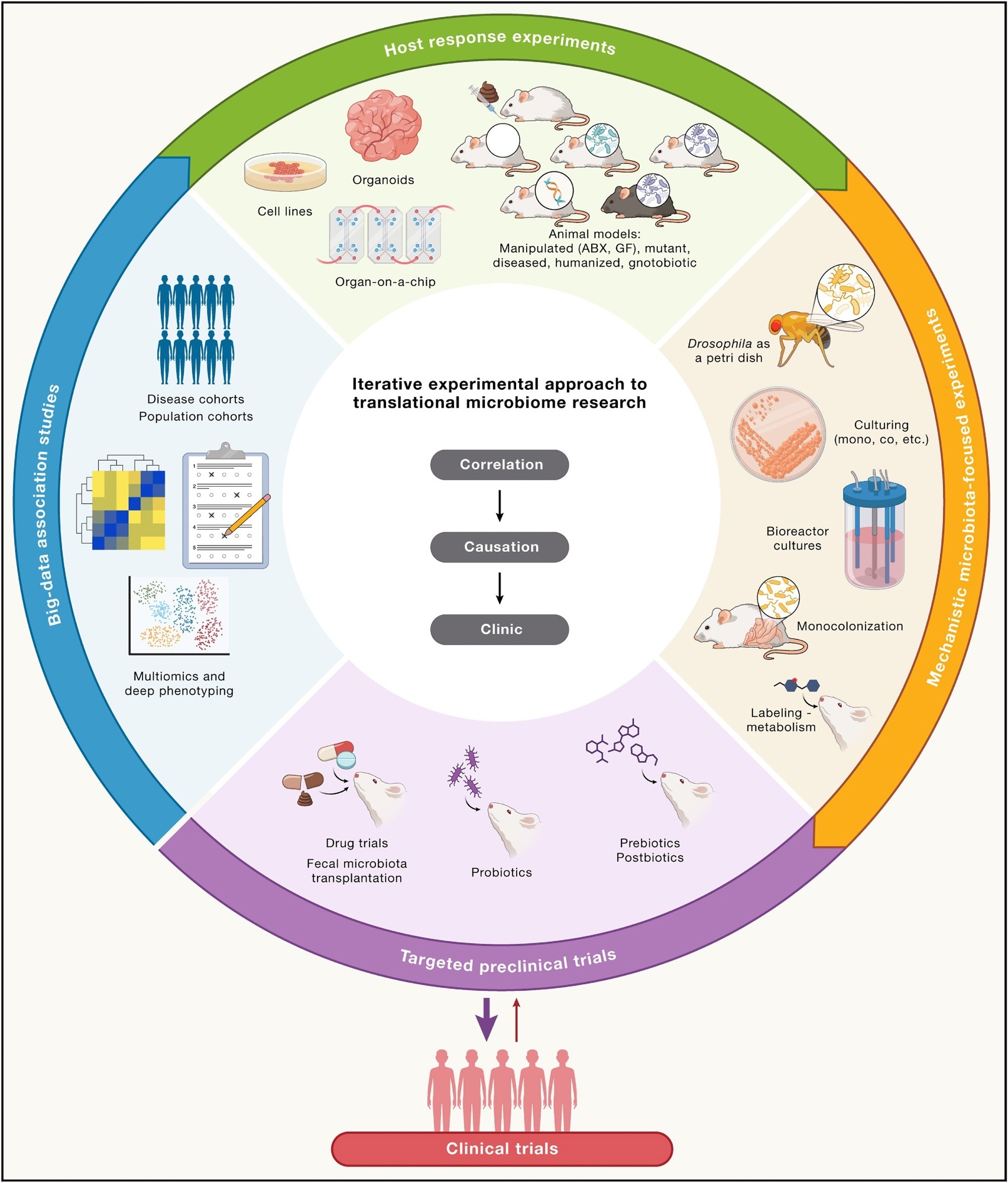 Proposed iterative experimental approach to translational microbiome research