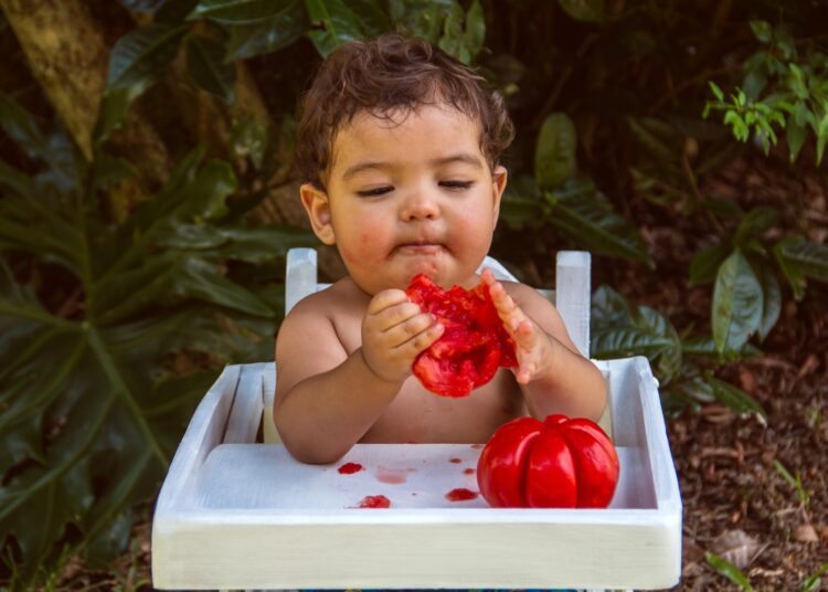 Review: The Role of Diet Diversity and Diet Indices on Allergy Outcomes. Image Credit: nadiadamaris / Shutterstock