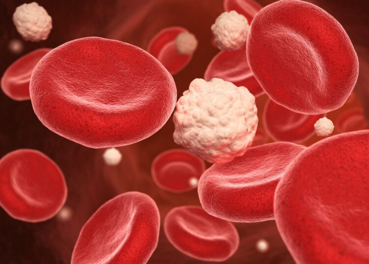 Study: Trajectories of Sleep Duration, Sleep Onset Timing, and Continuous Glucose Monitoring in Adults. Image Credit: Tatiana Shepeleva / Shutterstock