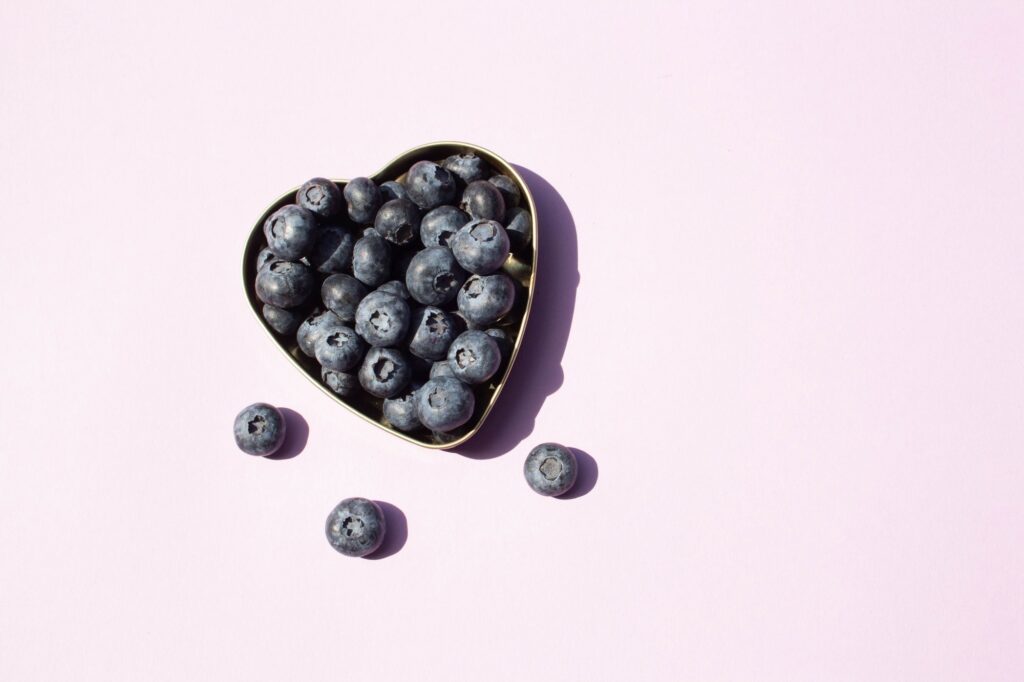 Study: Effects of Blueberry Consumption on Fecal Microbiome Composition and Circulating Metabolites, Lipids, and Lipoproteins in a Randomized Controlled Trial of Older Adults with Overweight or Obesity: The BEACTIVE Trial. Image Credit: Lucky Project / Shutterstock