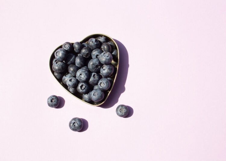 Study: Effects of Blueberry Consumption on Fecal Microbiome Composition and Circulating Metabolites, Lipids, and Lipoproteins in a Randomized Controlled Trial of Older Adults with Overweight or Obesity: The BEACTIVE Trial. Image Credit: Lucky Project / Shutterstock