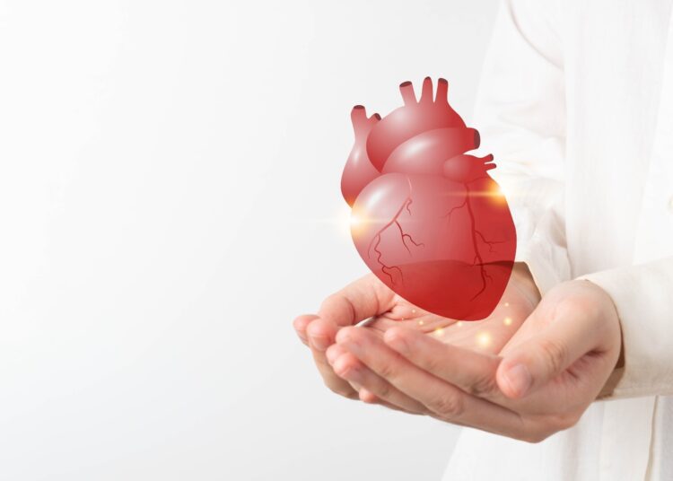 Study: Global Effect of Cardiovascular Risk Factors on Lifetime Estimates. Image Credit: Orawan Pattarawimonchai / Shutterstock