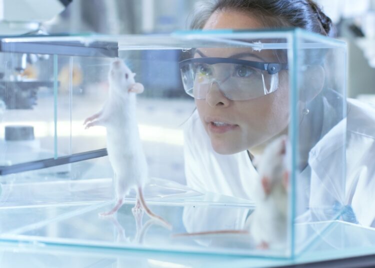 Study: Chronic ethanol exposure produces sex-dependent impairments in value computations in the striatum. Image Credit: Gorodenkoff / Shutterstock
