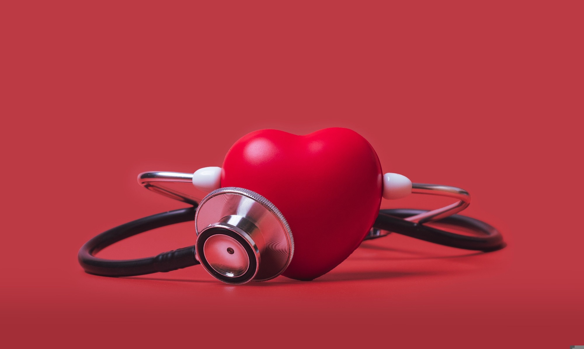 Study: Low carbohydrate high fat-diet in real life; A descriptive analysis of cardiovascular risk factors. Image Credit: 19 STUDIO / Shutterstock
