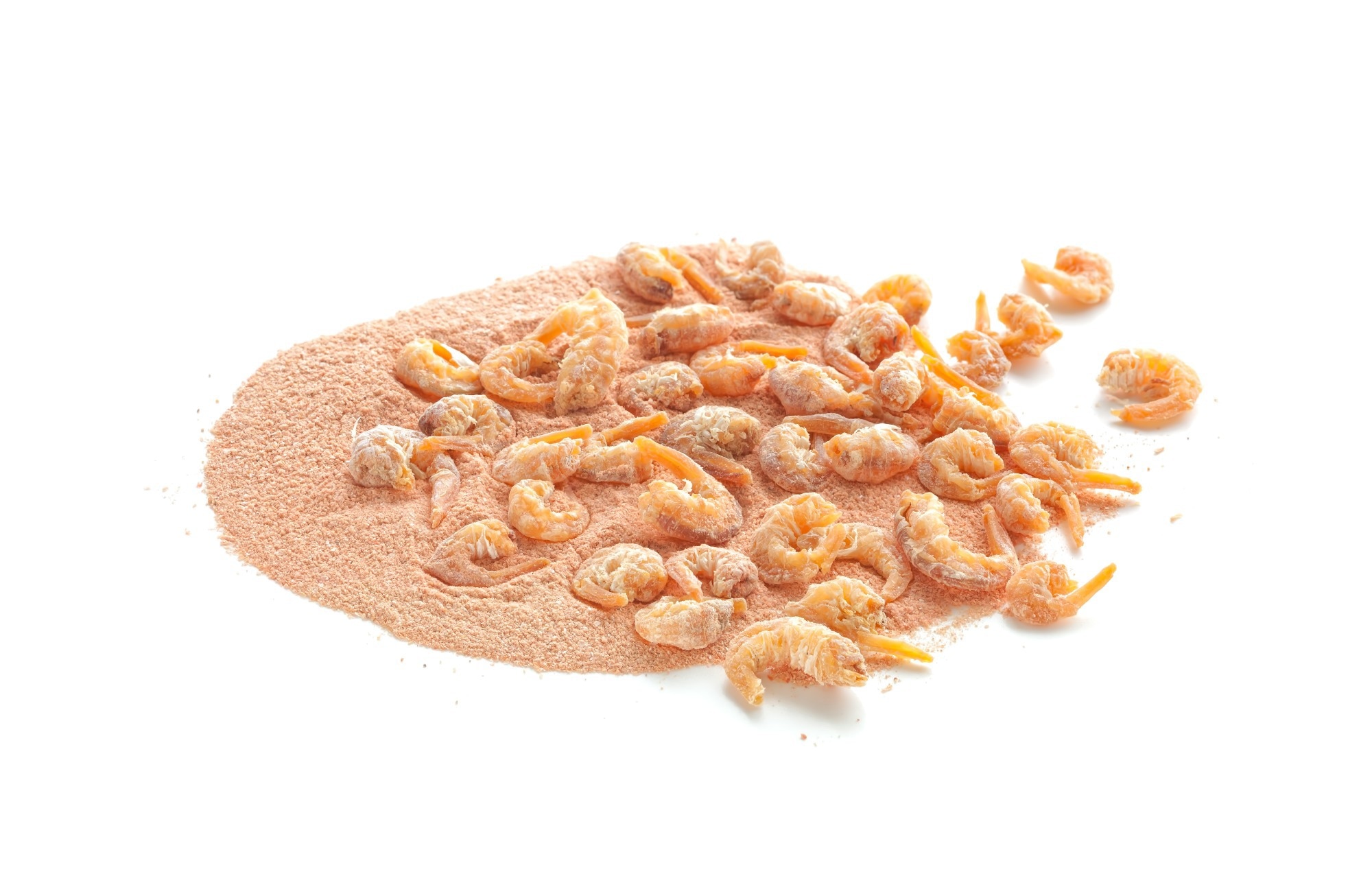 Study: Ingesting chitosan can promote excretion of microplastics. Image Credit: EvergreenPlanet / Shutterstock