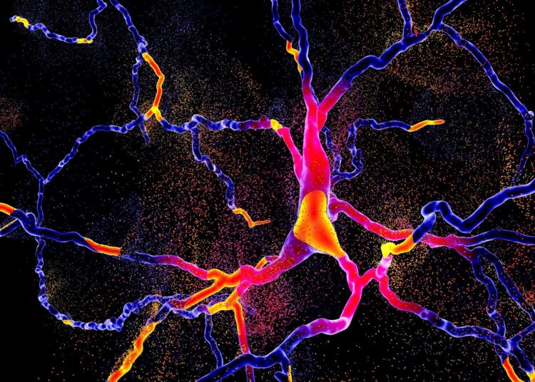 Study: Pre-symptomatic Parkinson’s disease blood test quantifying repetitive sequence motifs in transfer RNA fragments. Image Credit: Kateryna Kon / Shutterstock