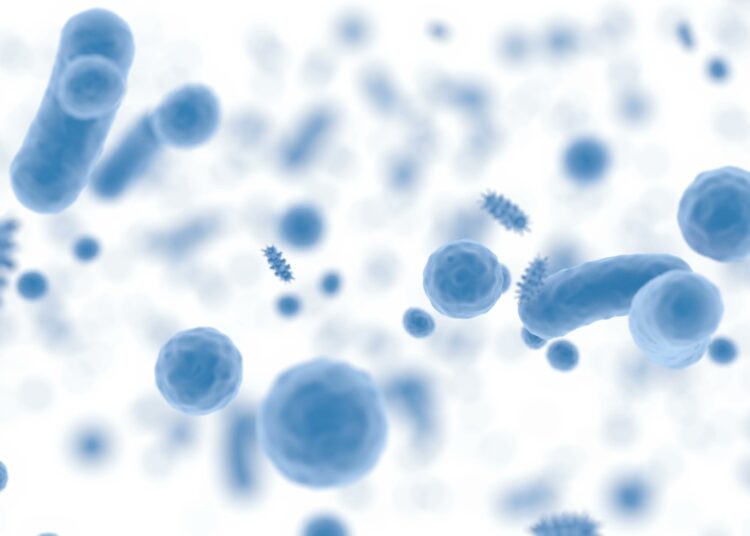 Review: Microbial diversity and fitness in the gut–brain axis: influences on developmental risk for Alzheimer’s disease. Image Credit: Volodimir Zozulinskyi / Shutterstock