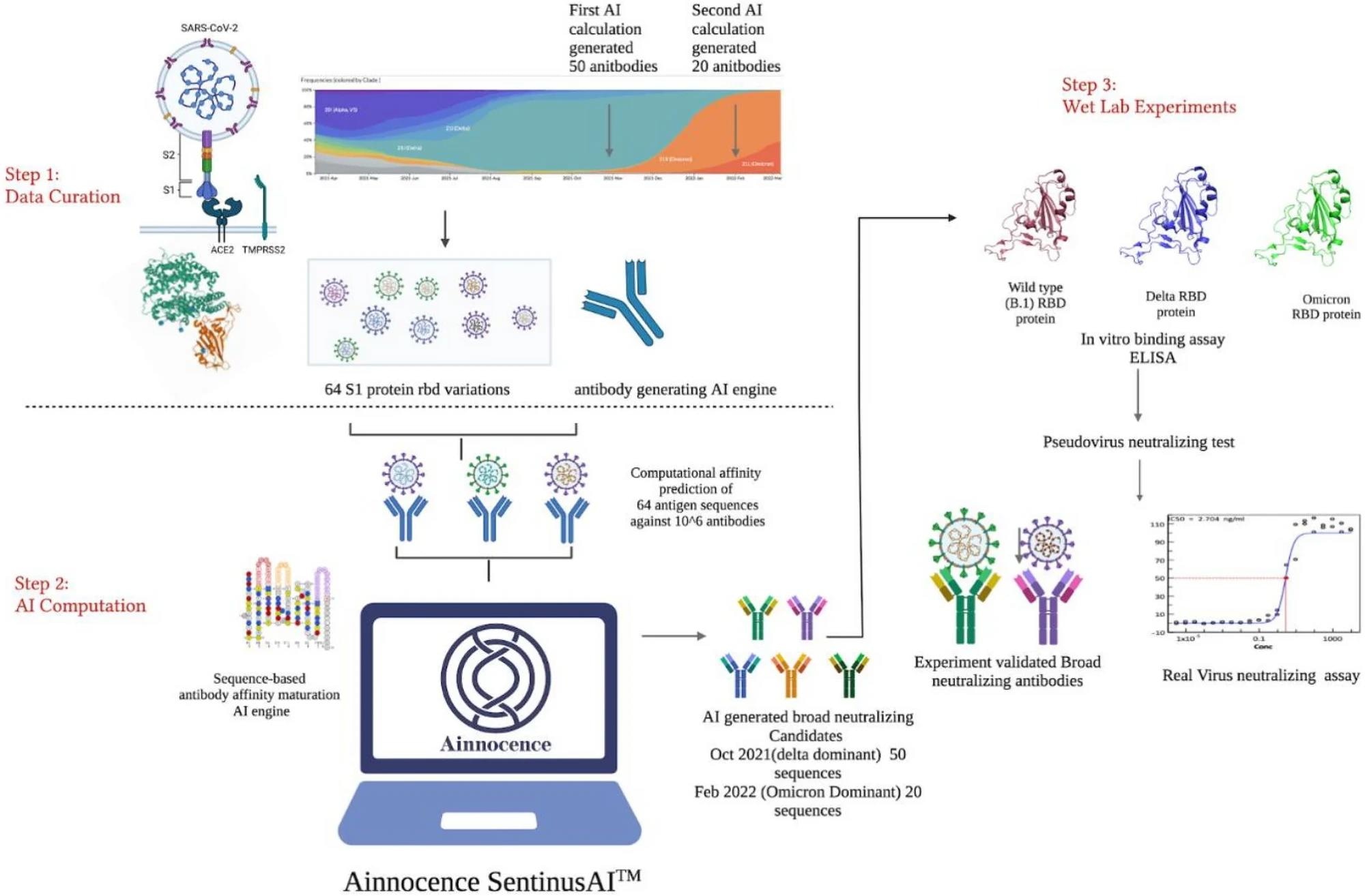 SECTION DE SECENCE DE LIGNE SARS-COV-2 SELECTION ET CARATION DES DONNÉES DE MUTATION VIRUS. Étape 2: prédiction de liaison des anticorps basée sur l'IA et sélection de liaison des vanages croisées pour les séquences de candidats potentielles pour les variantes futures. Étape 3: Mesure de la capacité de liaison de l'anticorps à l'aide d'un test basé sur ELISA; et la mesure de la capacité de neutralisation de l'anticorps en utilisant des tests de réduction de neutralisation et d'effet cytopathique (CPE).