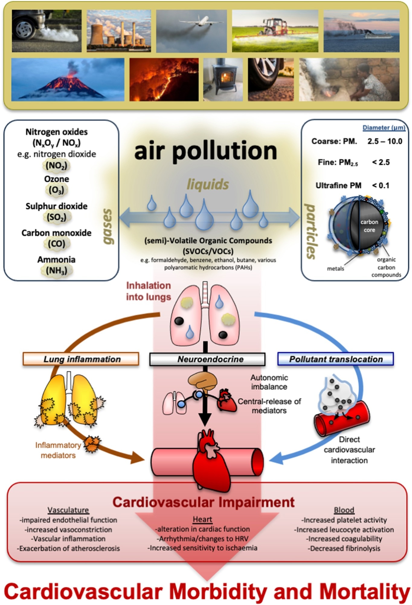 La pollution atmosphérique alimente les dommages aux artères et ...