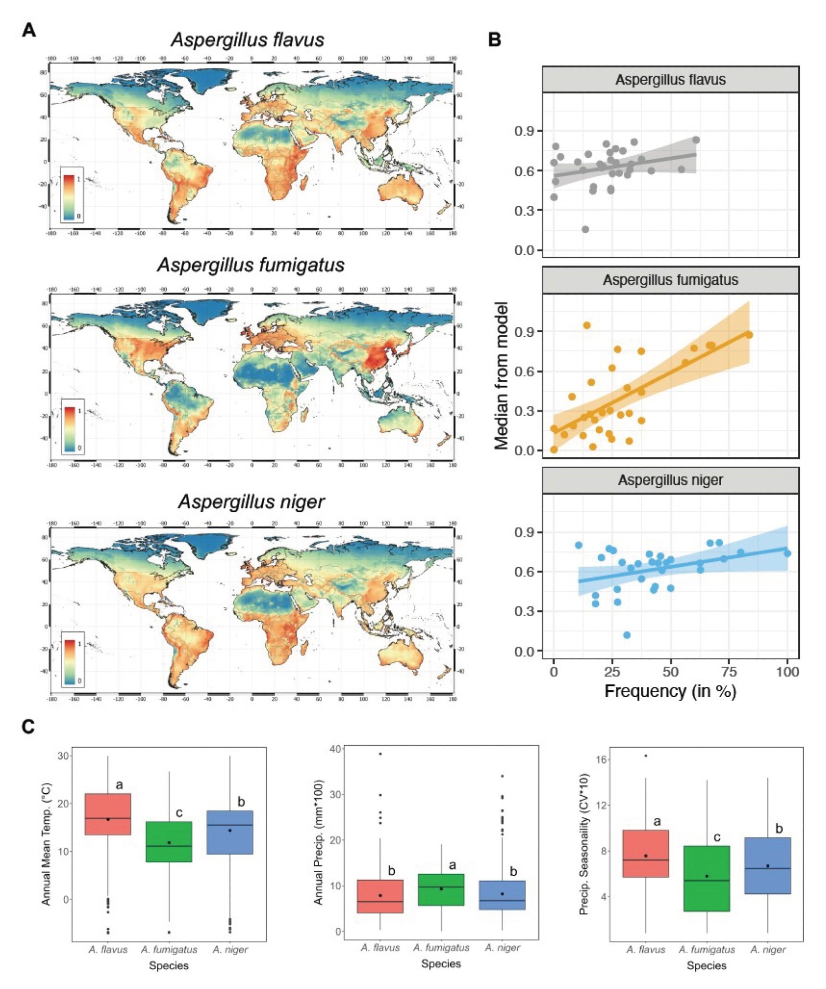 Modèle Maxent précis a décrit les distributions globales d'Aspergillus. Une adaptation à l'habitat pour trois espèces d'Aspergillus du modèle maxent. Le moins adapté est 0 et le plus approprié est 1. B Les tracés de corrélation de la fréquence de chaque espèce d'Aspergillus trouvés dans la littérature par rapport à l'aptitude médiane pour ce pays particulier dans le modèle maxent. C BoxPlots montrant des différences environnementales entre A. flavus, A. fumigatus et A. Niger parmi trois variables environnementales utilisées pour SDM. Les espèces marquées de la même lettre ne sont pas significativement différentes à P <0,05 en ce qui concerne chaque variable environnementale.