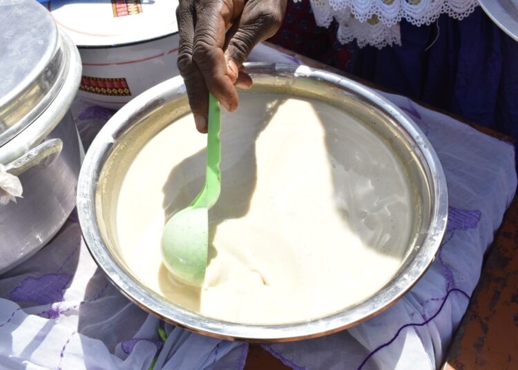 Study: Nutritional composition of dried Gapal, a highly nutritious food based on fermented cereal and milk. Image Credit: Vineke