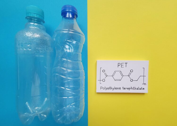 Image Credit: Danijela Maksimovic / Shutterstock