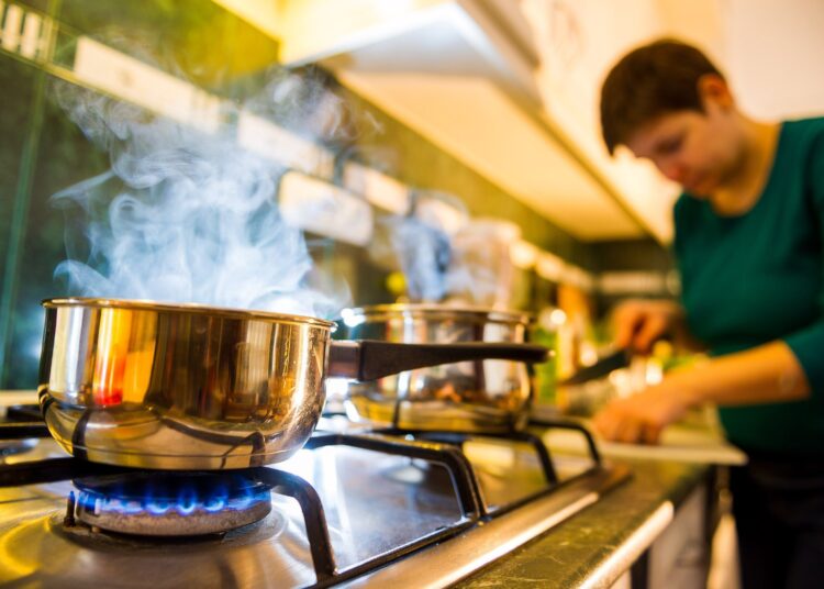 Study: Exposure and health risks of benzene from combustion by gas stoves: A modelling approach in U.S. homes. Image Credit: goodbishop / Shutterstock