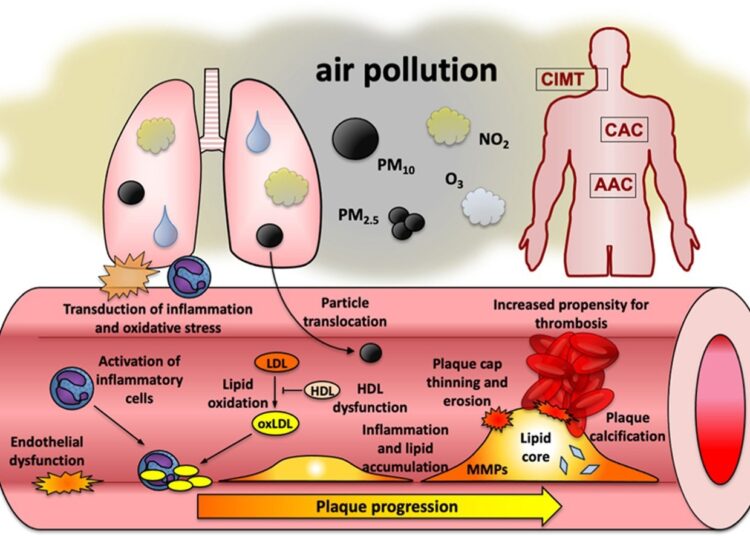 La pollution atmosphérique alimente les dommages aux artères et ...