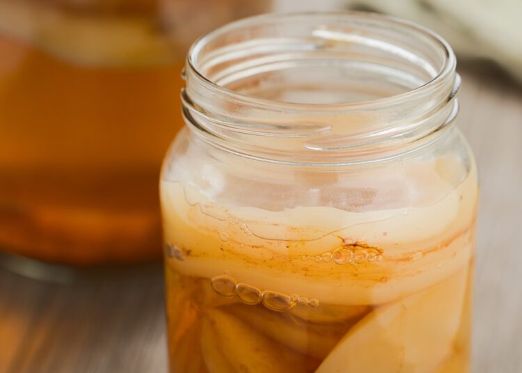 Homemade black tea kombucha. Image Credit: Ildi Papp / Shutterstock. Study: Regular Consumption of Black Tea Kombucha Modulates the Gut Microbiota in Individuals with and without Obesity