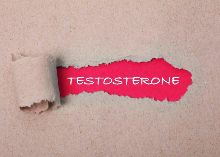 Image Credit: Marta Design / Shutterstock