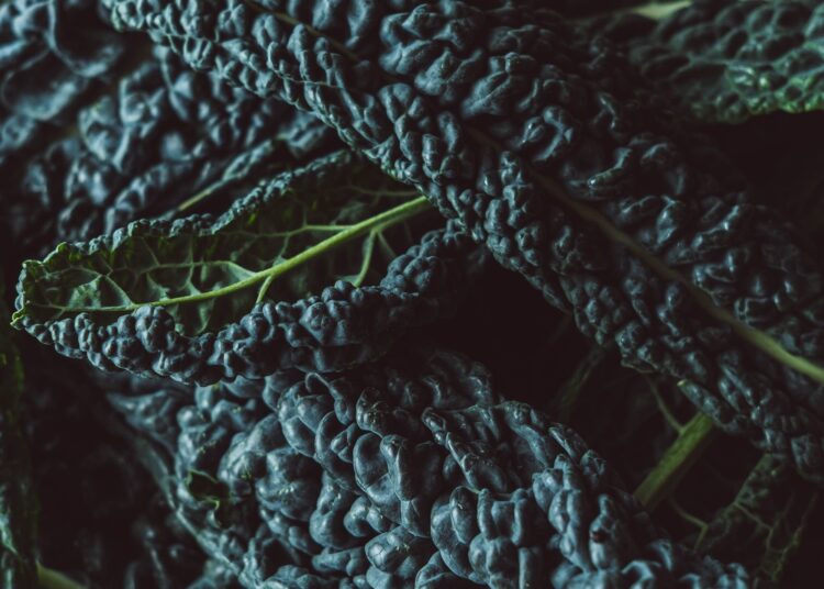 Study: Innovative approaches for the fermentation of black cabbage with improved nutritional and health-promoting traits. Image Credit: Robyn-May / Shutterstock