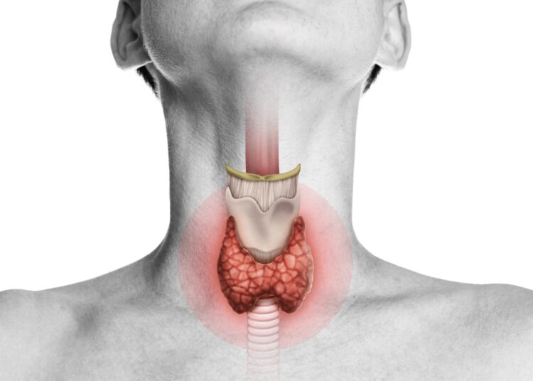 Study: Risk of hypothyroidism in meat-eaters, fish-eaters, and vegetarians: a population-based prospective study. Image Credit: SvetaZi / Shutterstock
