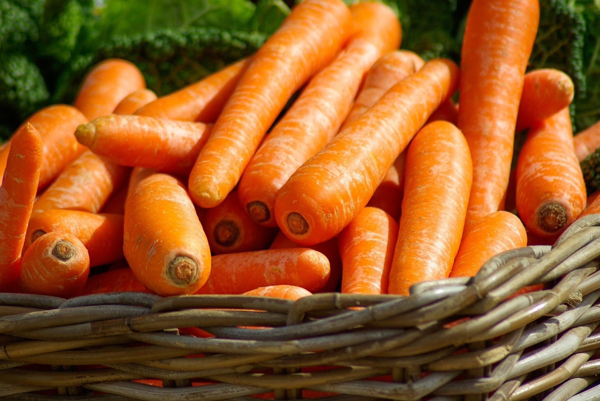 Plus de β-carotène dans l'alimentation réduit les symptômes psychosomatiques chez les jeunes