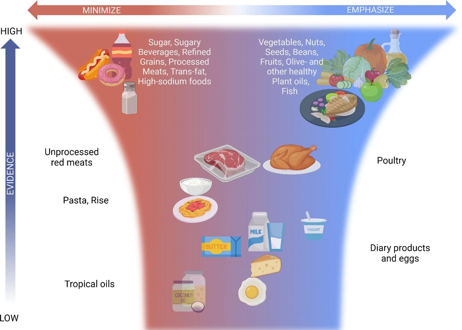 Étude: l'impact des interventions alimentaires sur la santé cardiométabolique Illustration centrale. Recommandations diététiques générales pour la santé cardiométabolique. La représentation visuelle des aliments courants et le niveau de consensus général concernant la force des preuves (les aliments dans la partie supérieure ont un large consensus), ainsi que les recommandations générales (les aliments à droite doivent être soulignés dans le régime))