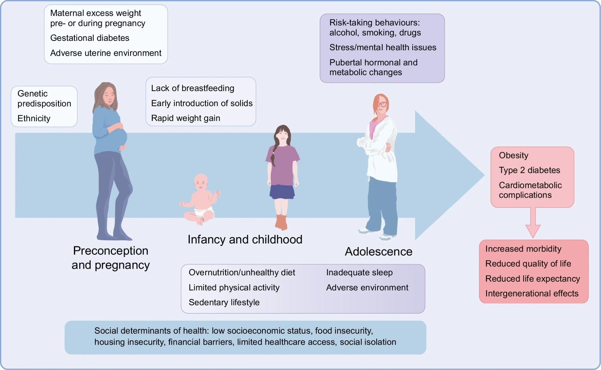 Inforgraphique représentant les principaux facteurs de risque de maladies métaboliques chez les jeunes