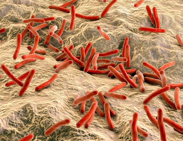 L'ancien ADN met en lumière les origines de la lèpre dans les Amériques