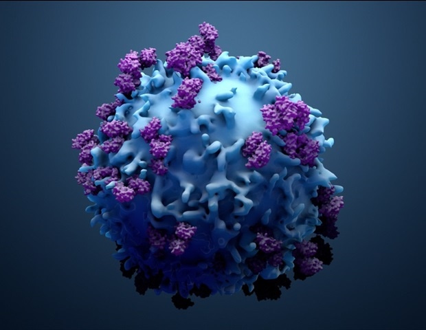La thérapie par cellules T CAR avec succès traite la maladie auto-immune rare du système nerveux périphérique