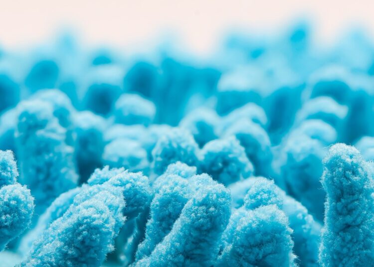Study: Akkermansia Muciniphila Primes Lung-Resident Antiviral Immunity via the Gut–Lung Axis During SARS-CoV-2 Infection. Image Credit: TopMicrobialStock / Shutterstock