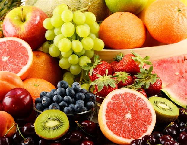 Le nouveau modèle de mouche de fruits génétiquement modifiée fait la lumière sur la dépendance à la cocaïne