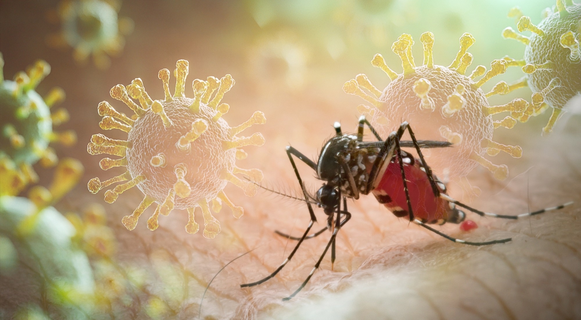 Study: Global burden of chikungunya virus infections and the potential benefit of vaccination campaigns. Image Credit: frank60 / Shutterstock