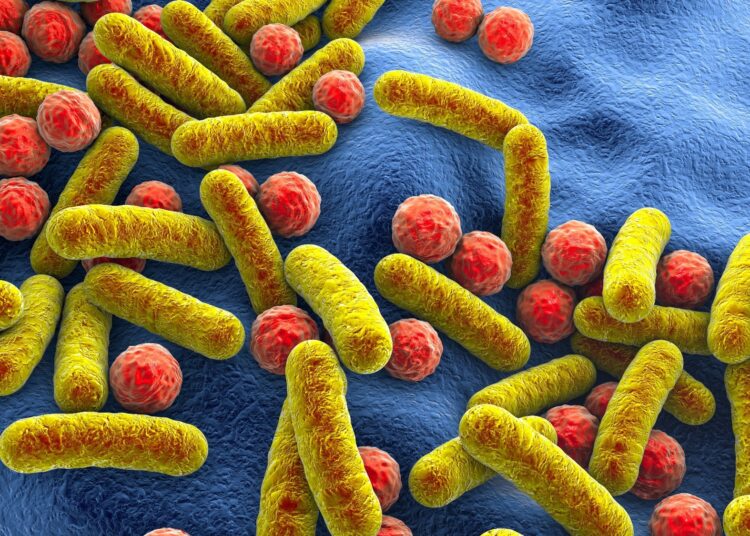 Perspective: The microbiome for clinicians. Image Credit: Kateryna Kon / Shutterstock