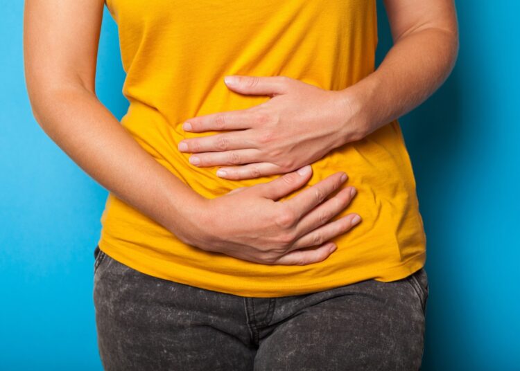 Diet and Endometriosis: An Umbrella Review. Image Credit: Andrii Zastrozhnov / Shutterstock