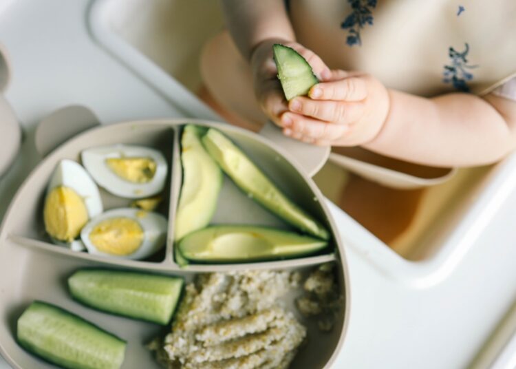 Infant self feeding vegetables, eggs and cereal