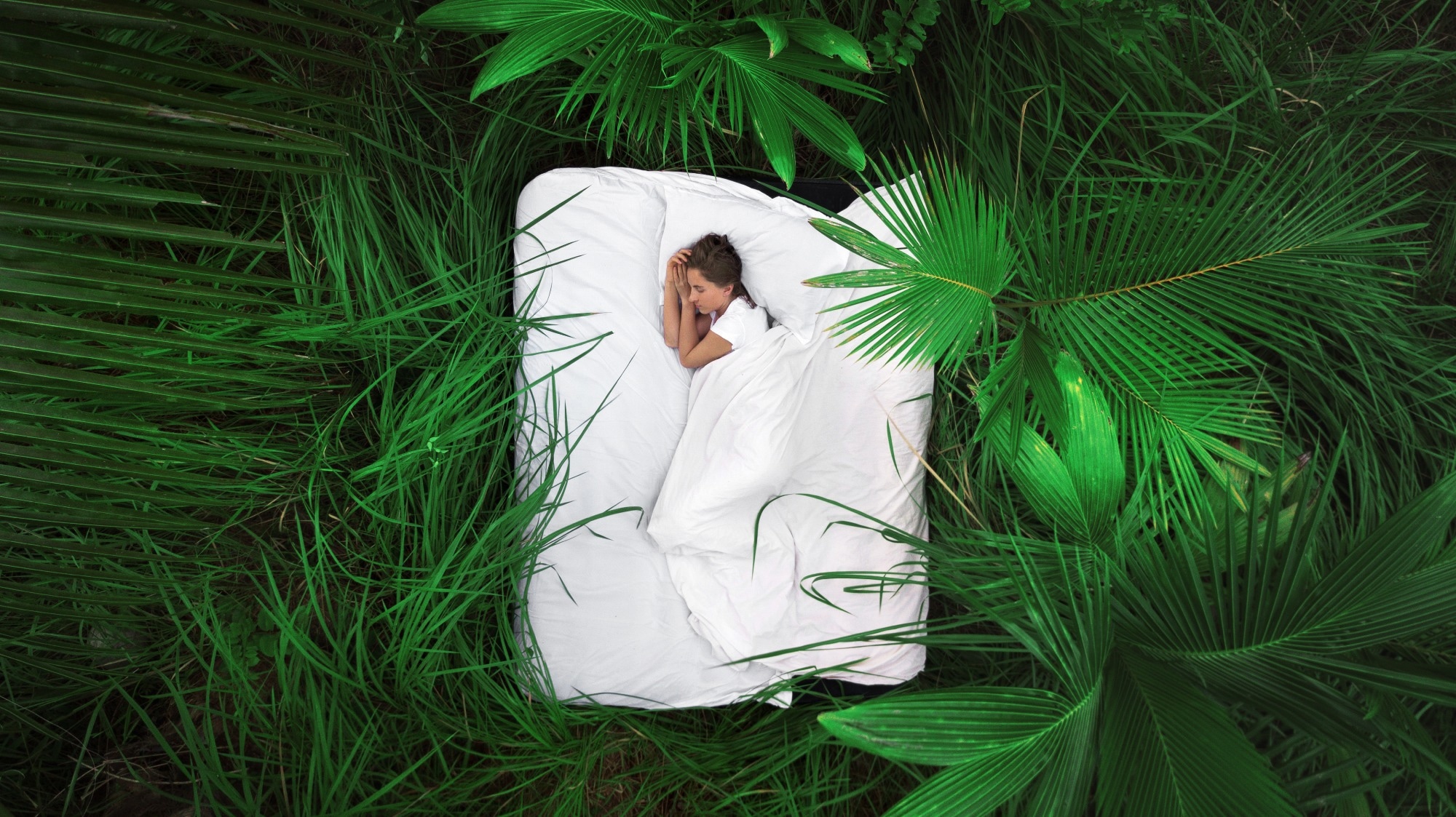 Study: N2 sleep promotes the occurrence of ‘aha’ moments in a perceptual insight task. Image Credit: Hlib Shabashnyi / Shutterstock
