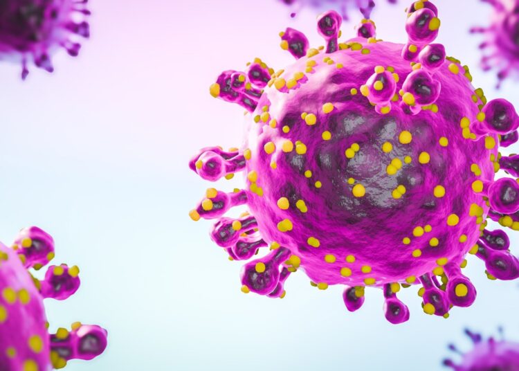 Oropouche virus that causes Oropouche fever, an emergent disease from the Americas 3d rendering