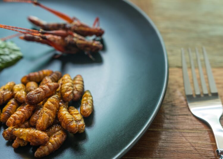 Review: Beyond the buzz: insect-based foods are unlikely to significantly reduce meat consumption. Image Credit: Charoen Krung Photography / Shutterstock
