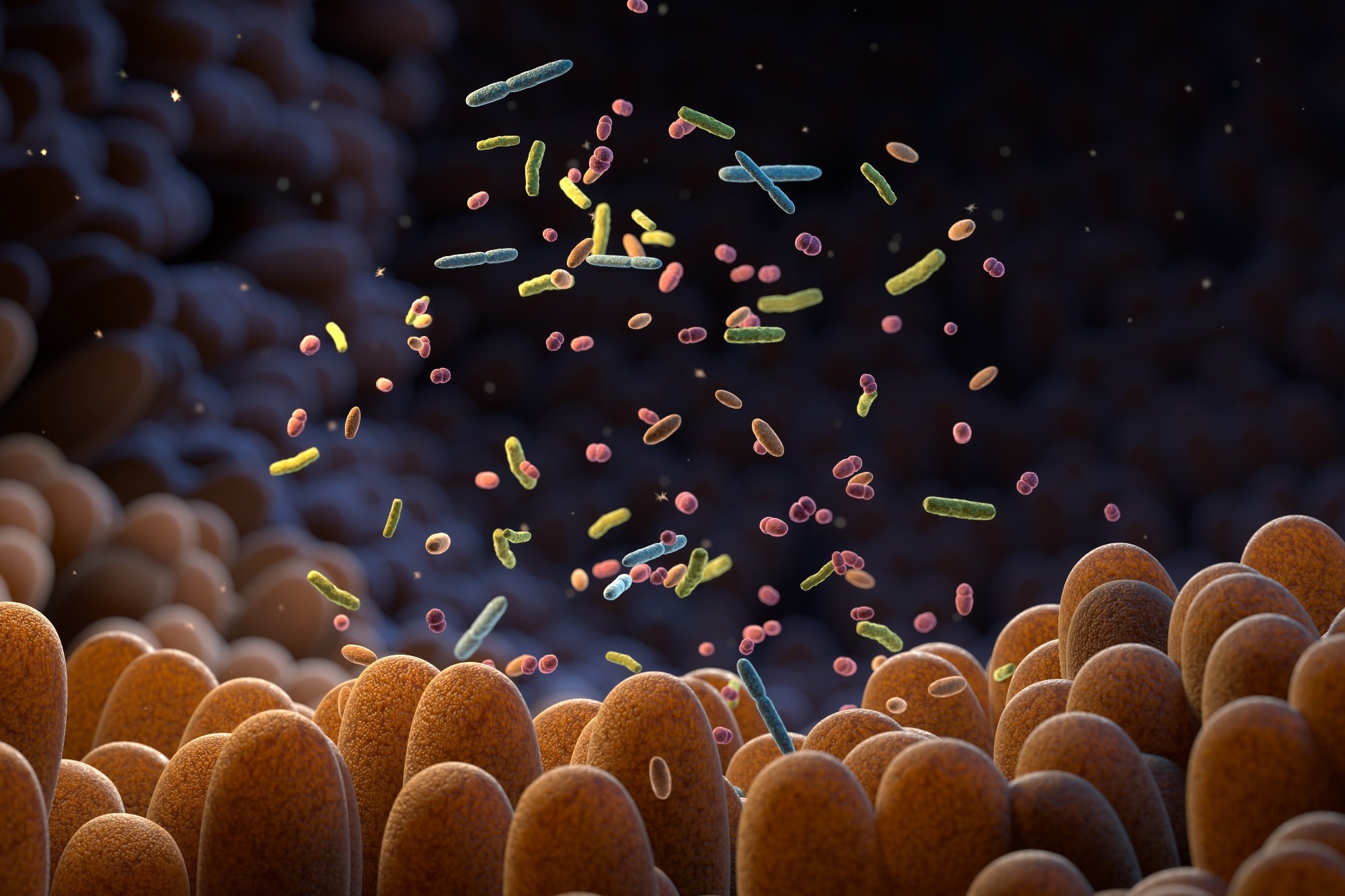 ntestinal bacteria Microbiome. 3d illustration