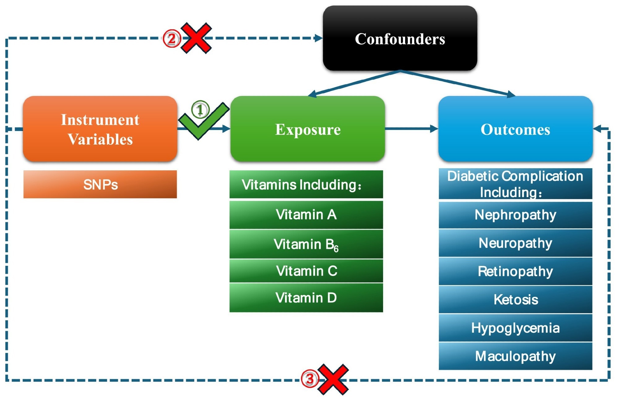 Tableau d'écoulement de l'étude de randomisation mendélienne (MR) et trois hypothèses clés. Premièrement, les polymorphismes sélectionnés uniquement nucléotidiques (SNP) sont fortement associés à l'exposition; Les vitamines sont utilisées comme facteurs d'exposition dans cet article. Deuxièmement, il n'y a pas d'association entre les SNP et les facteurs de confusion. Enfin, les SNP ne peuvent avoir un impact que directement sur les résultats (complications diabétiques) par des vitamines.