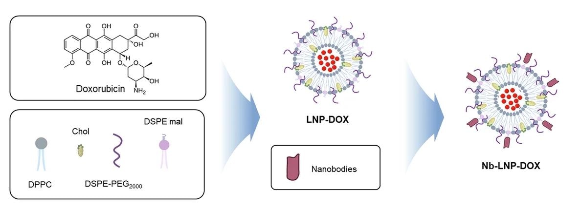 Organigramme de la synthèse de A5-LNP-DOX.