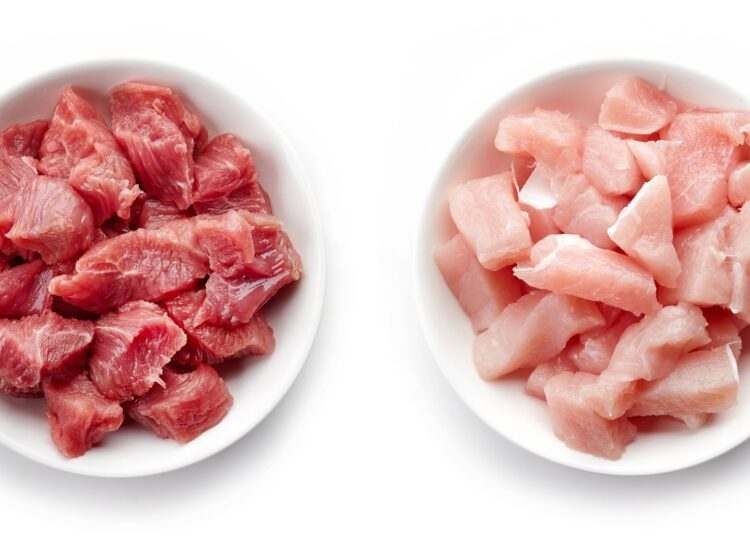 Study: Effect of the Consumption of Lean Red Meat from Beef (Pirenaica Breed) Versus Lean White Meat (Chicken) on the Gut Microbiota: A Randomized Cross-Over Study in Healthy Young Adults. Image Credit: bigacis / Shutterstock