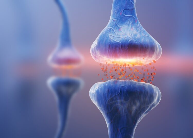 am illustration of neurotransmitters