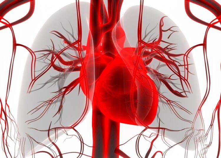 Study: Association of life’s essential 8 score with incidence of atrial fibrillation: The Framingham heart study. Image Credit: Magic mine / Shutterstock